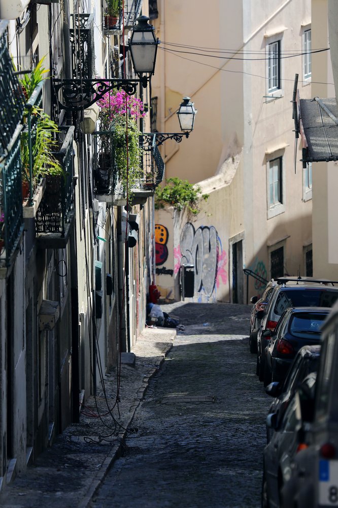 Photograph by Александр Цабель