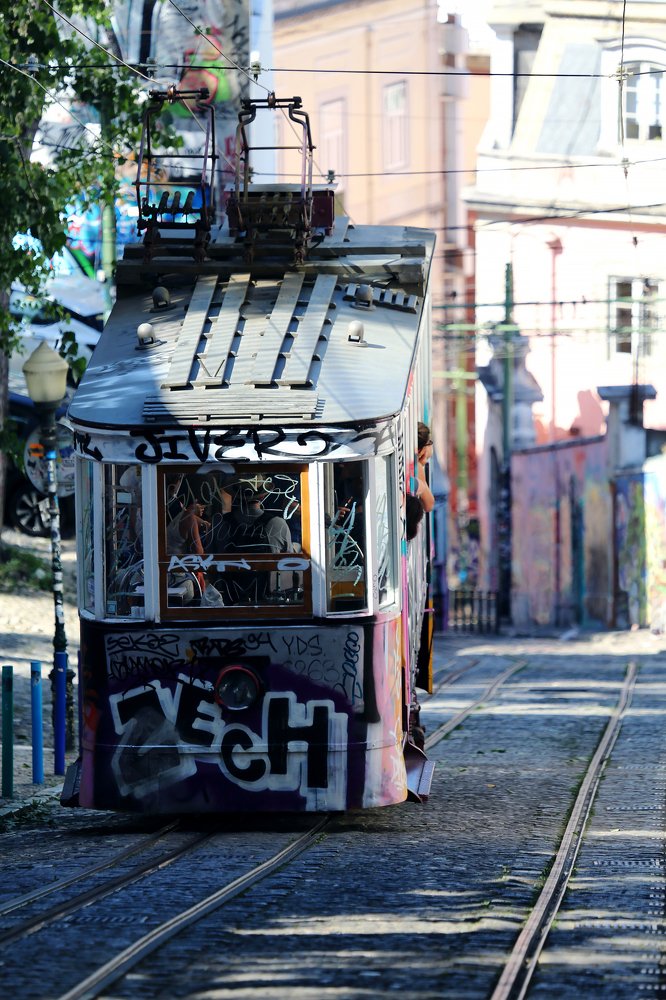 Photograph by Александр Цабель