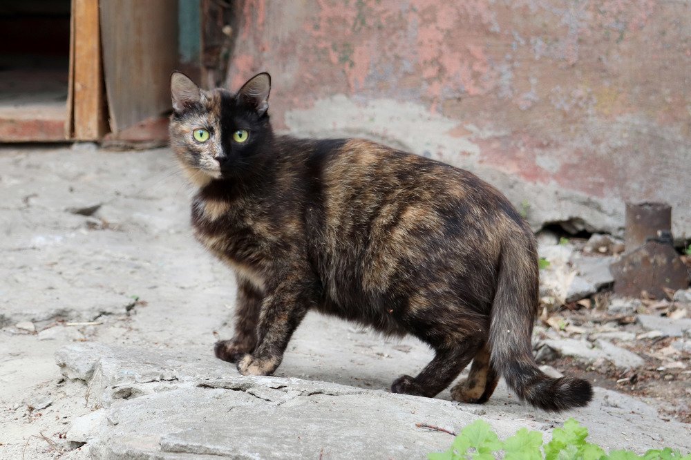 Photograph by Анастасия Чугунова