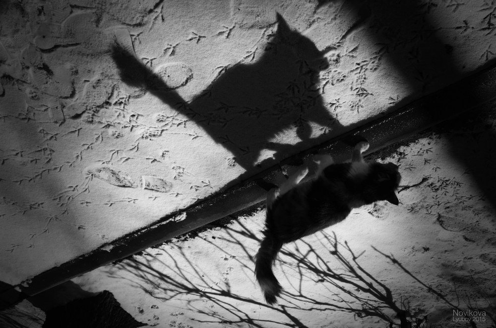 Photograph by Любовь Новикова