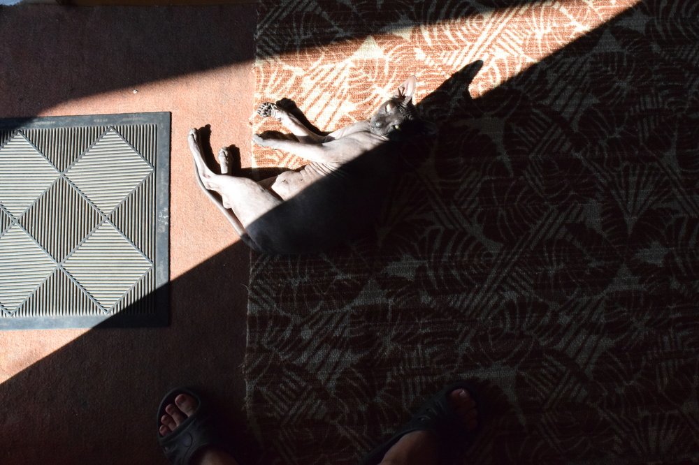 Photograph by Юлия Осипенко