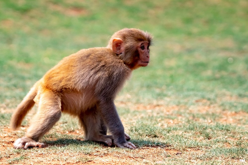 Photograph by Мари Полищук