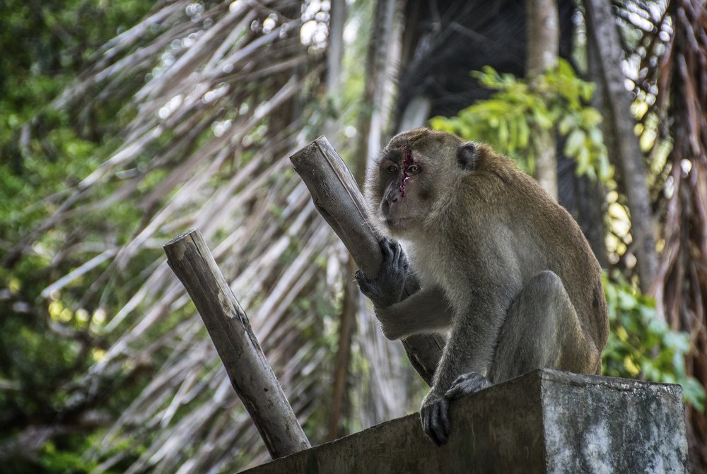 Photograph by Наталия Мостовая