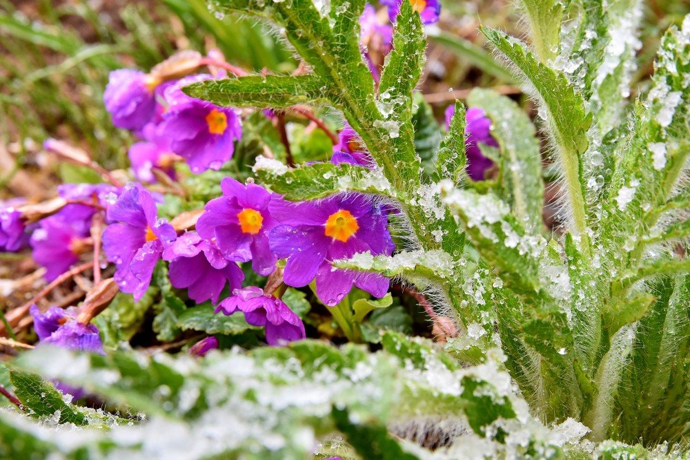 Photograph by Alexey Smal