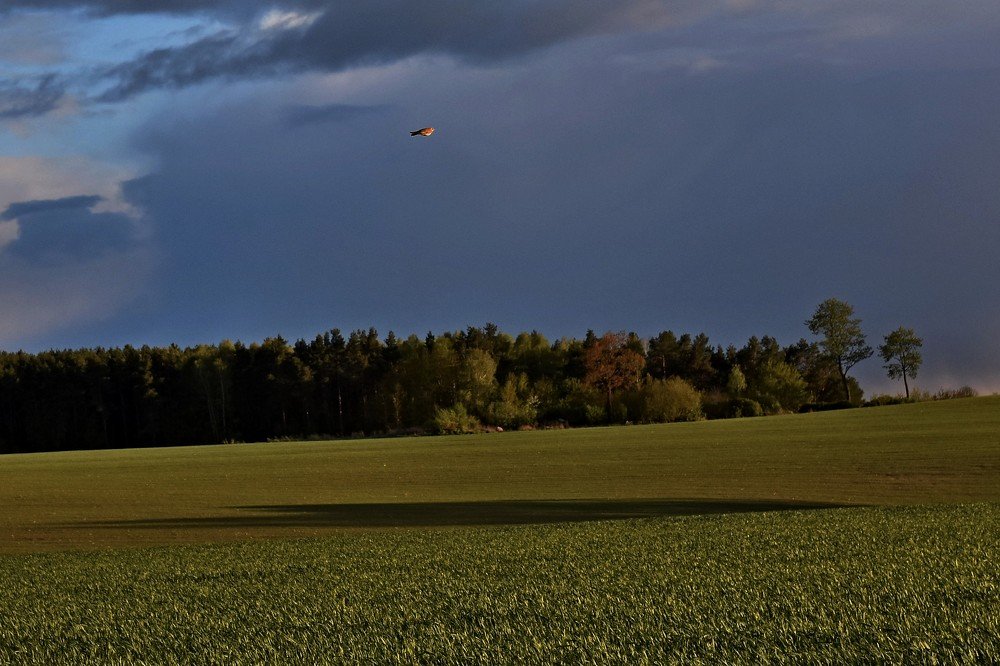 Photograph by Alexey Smal