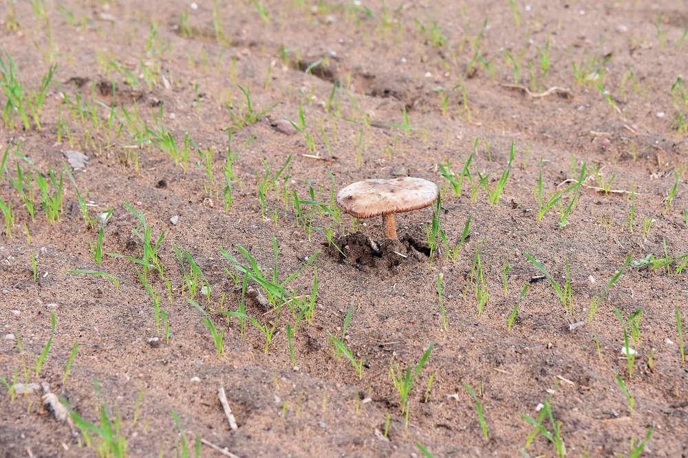 Photograph by Alexey Smal