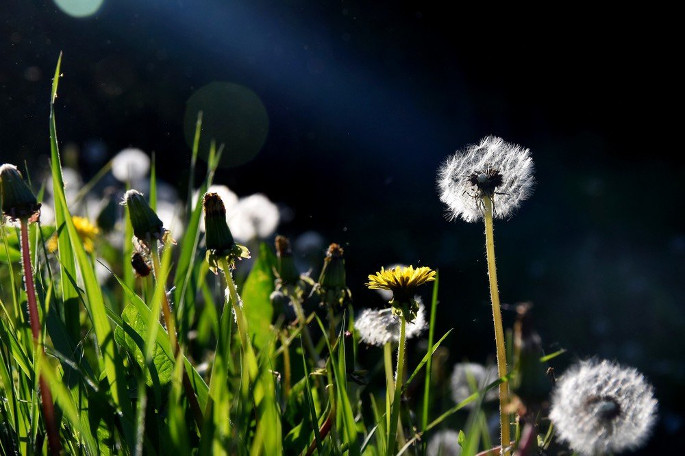 Photograph by Alexey Smal