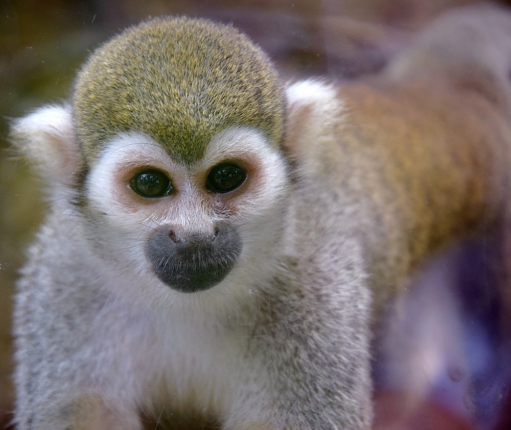 Photograph by Margo Margo