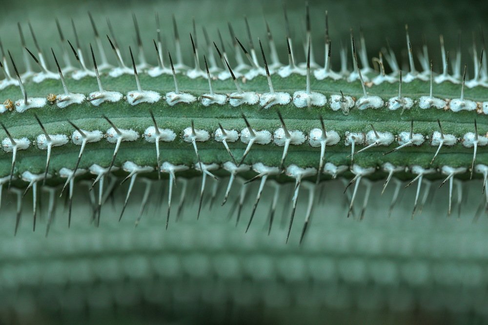 Photograph by Андрей Лысиков