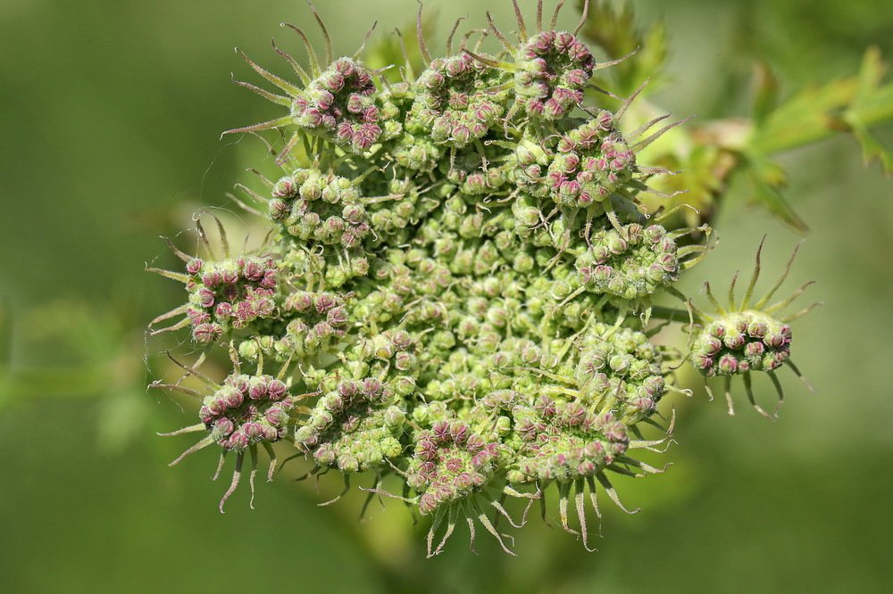 Photograph by Андрей Лысиков