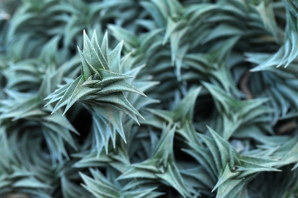 Photograph by Андрей Лысиков