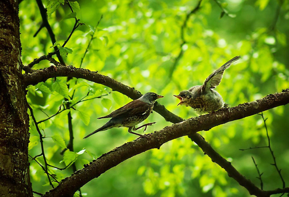 Photograph by Михаил Гусев