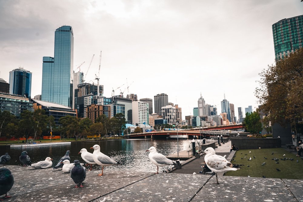 Фотография автора Maria Alekseeva