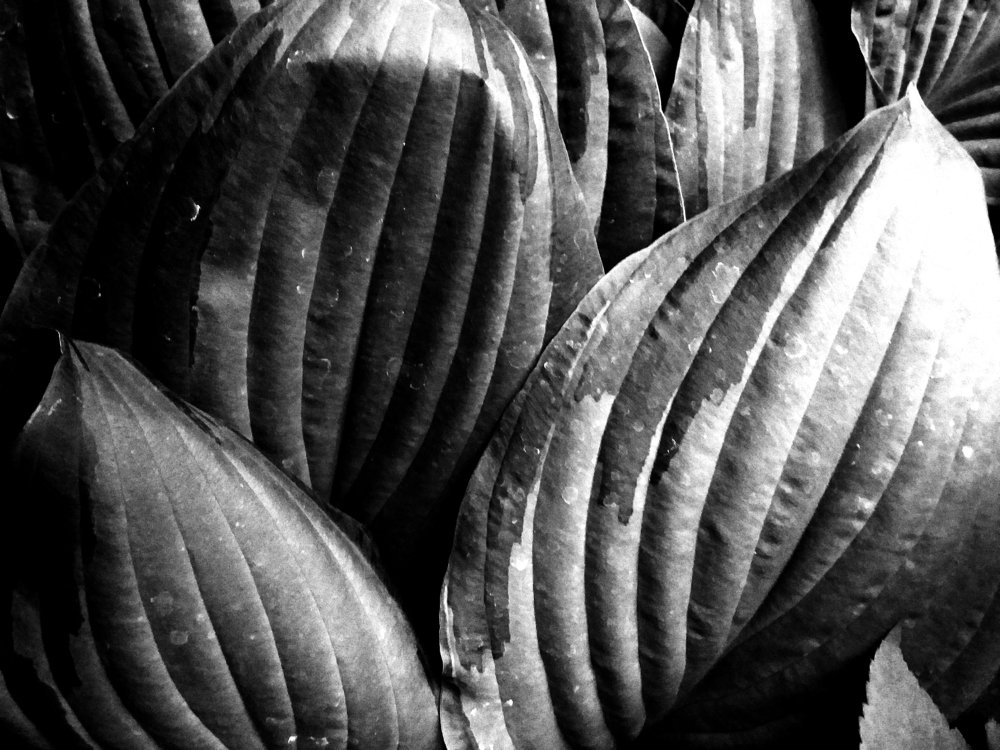 Фотография автора Владислава Андрюнина