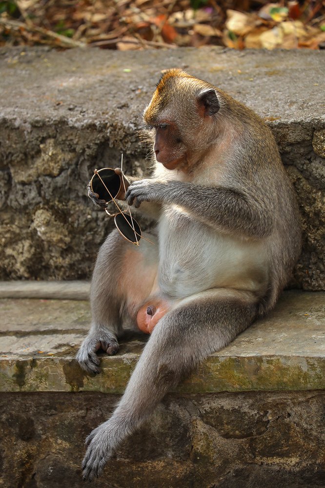 Photograph by Андрей Лысиков