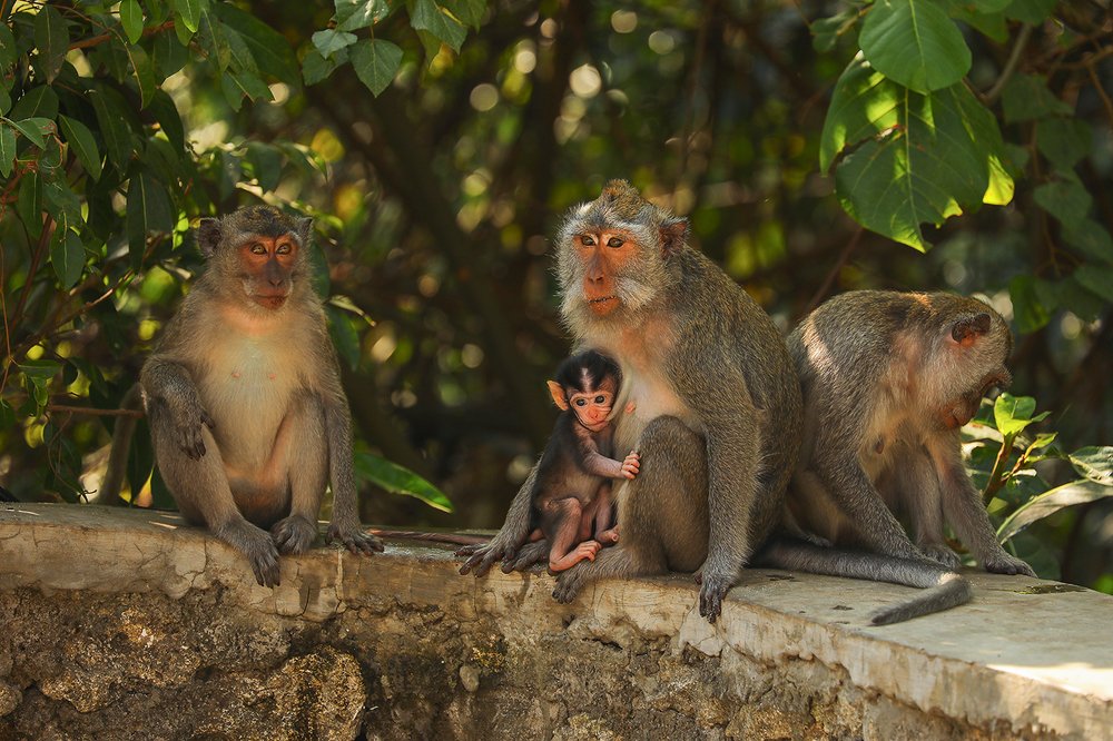 Photograph by Андрей Лысиков