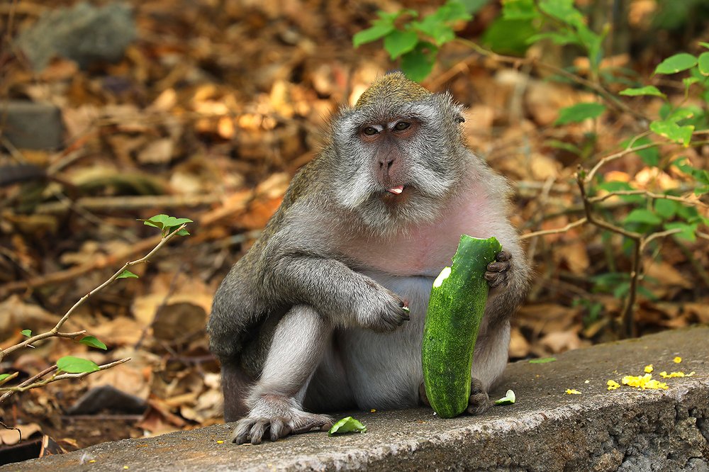 Photograph by Андрей Лысиков