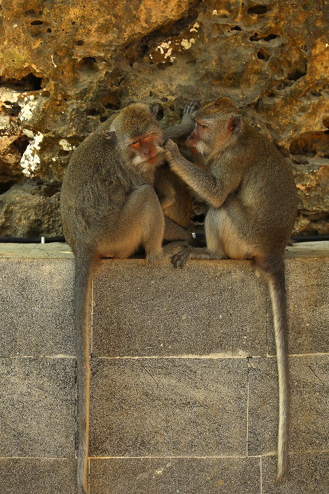 Photograph by Андрей Лысиков