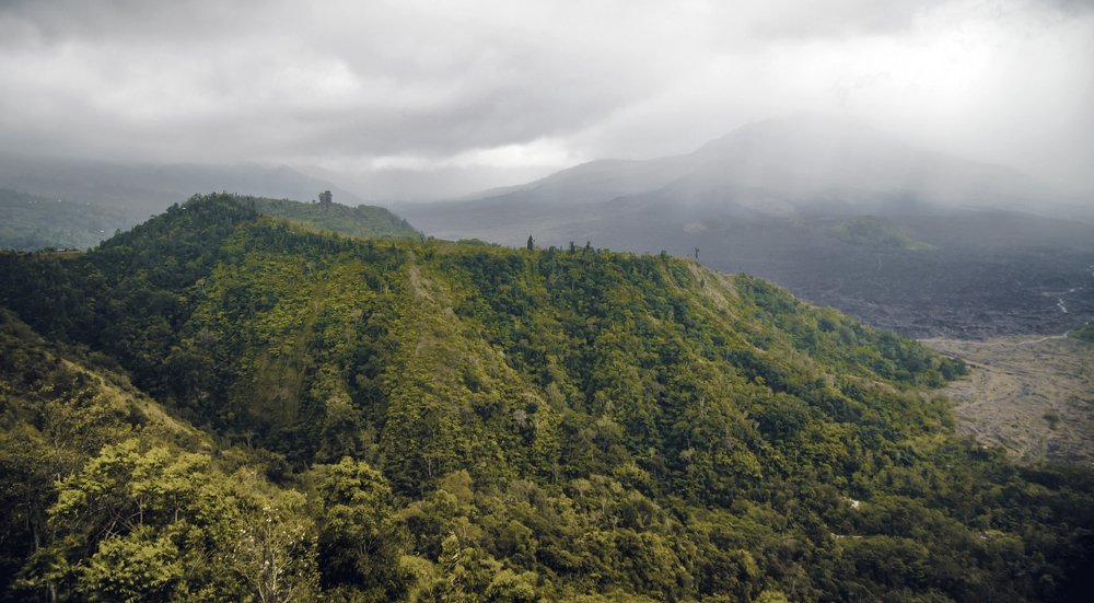 Photograph by Дмитрий Петренко