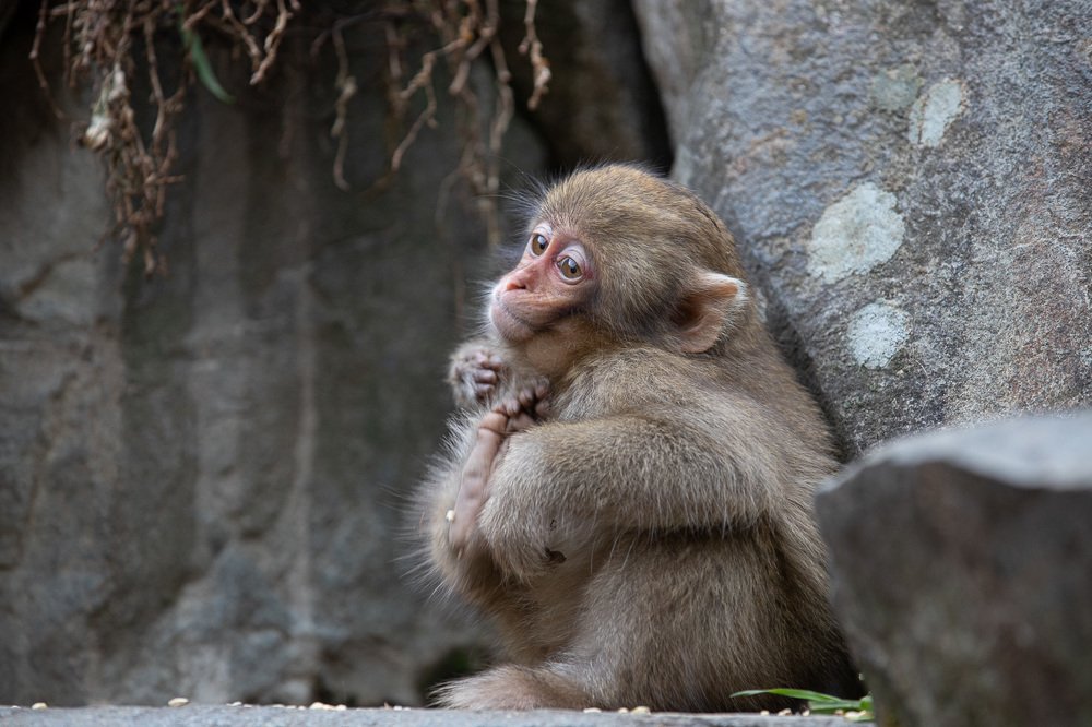 Photograph by Terebilov Andrey