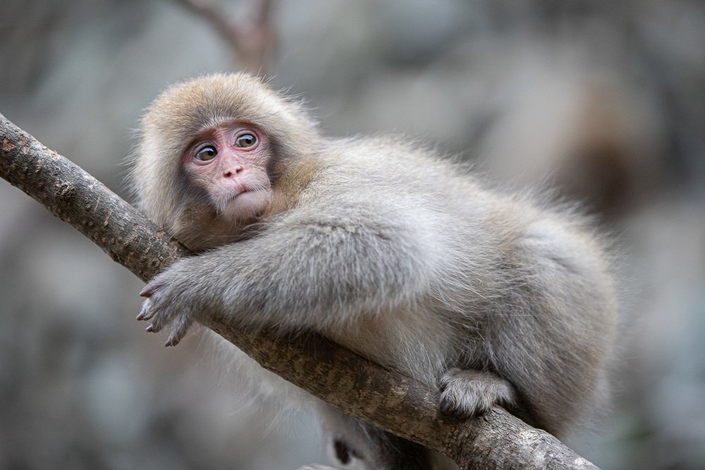 Photograph by Terebilov Andrey