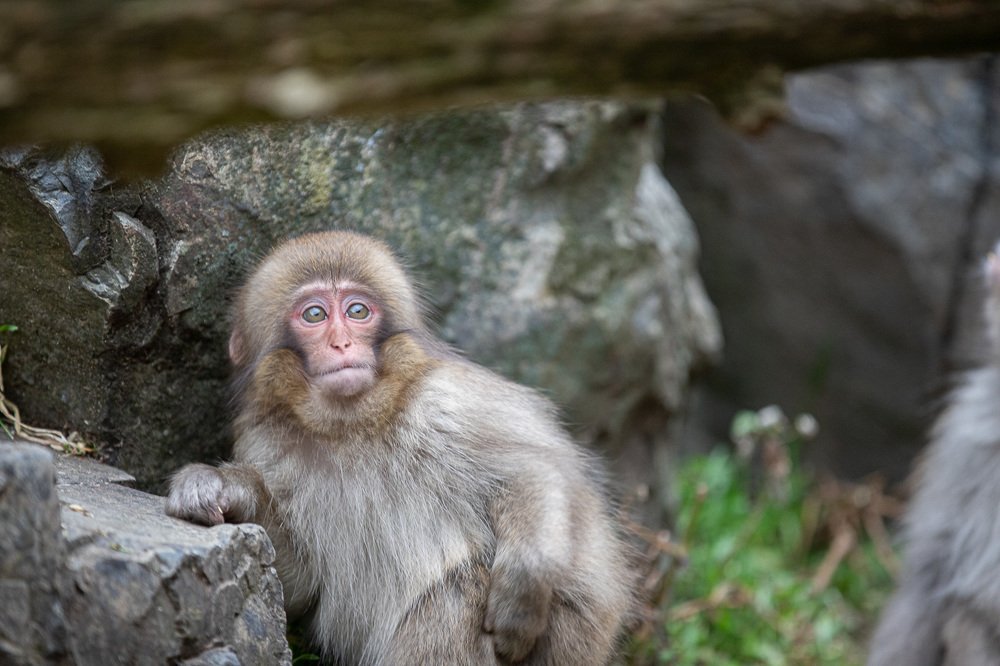 Photograph by Terebilov Andrey