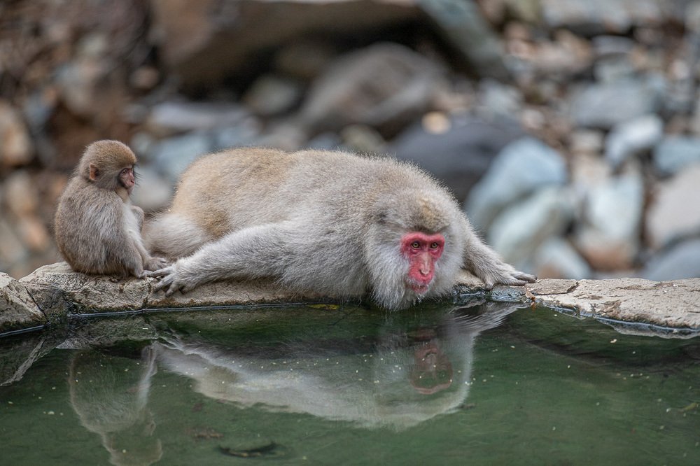 Photograph by Terebilov Andrey