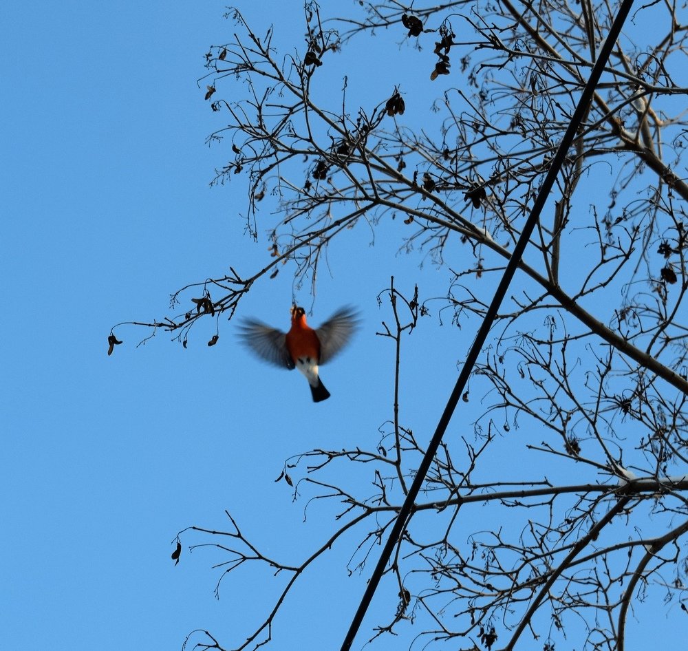 Фотография автора Алексей Усов