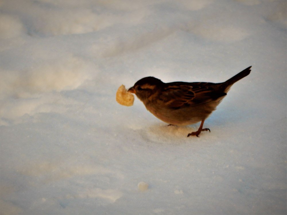 Фотография автора Алексей Усов