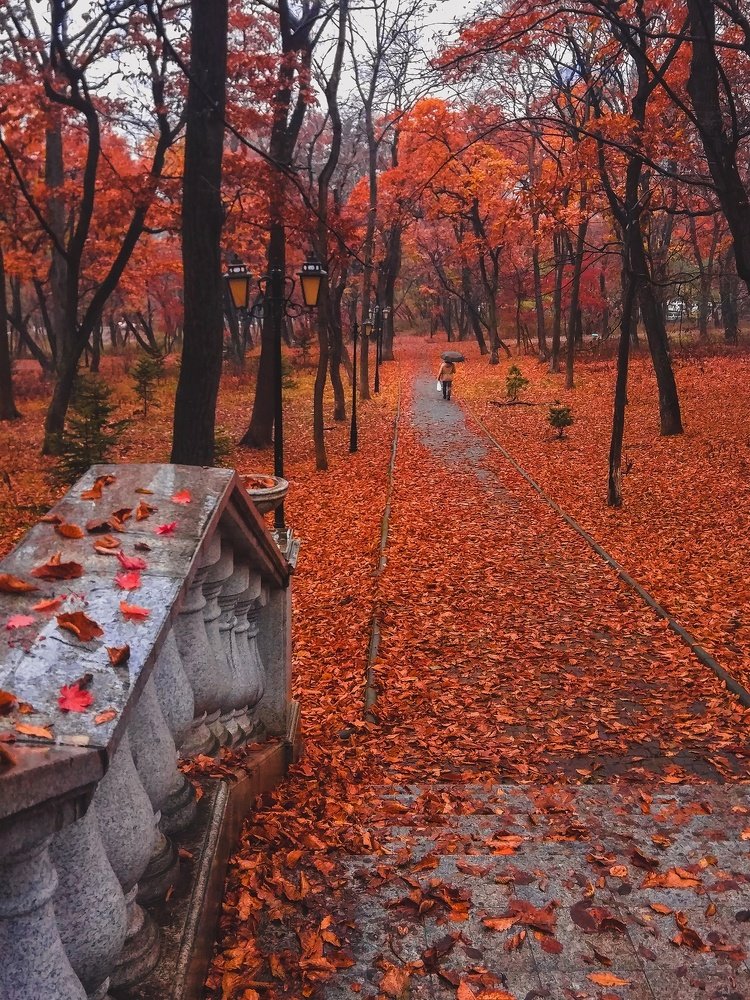 Photograph by Татьяна Сорока