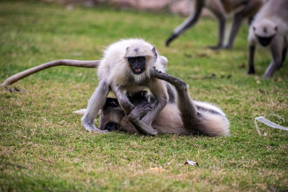 Photograph by mayur shrimali
