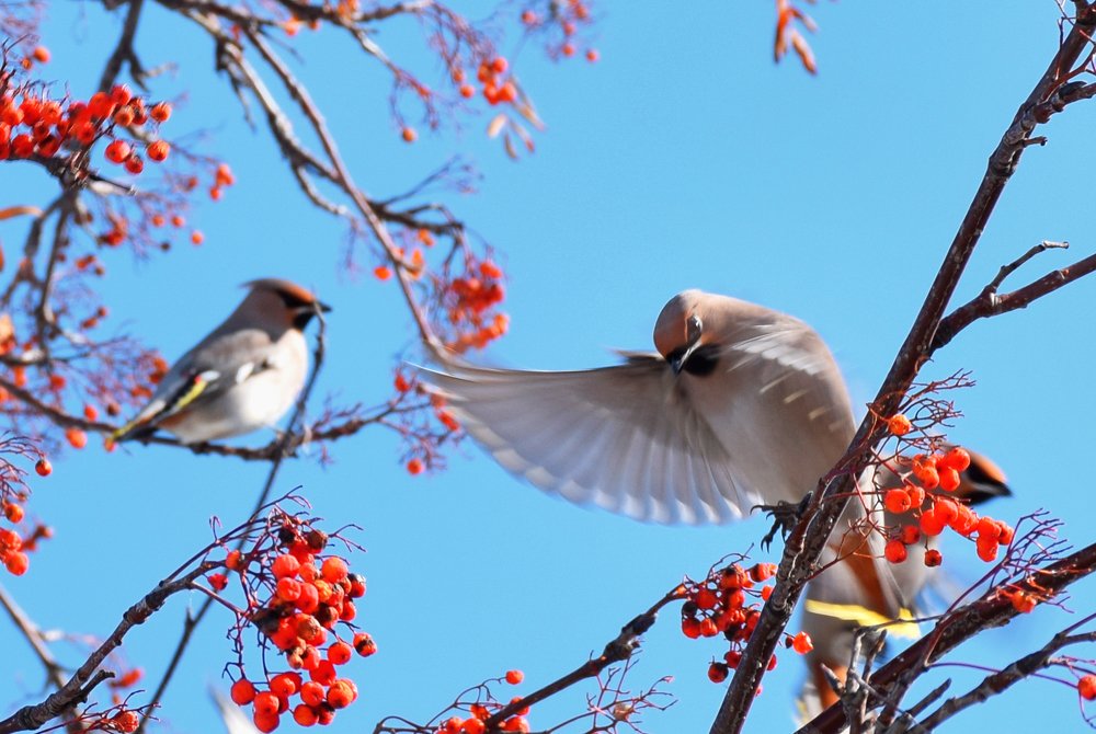 Photograph by  Татьяна Дорожко