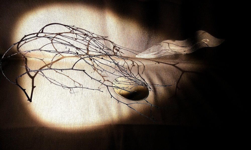 Photograph by Галина Гончарова