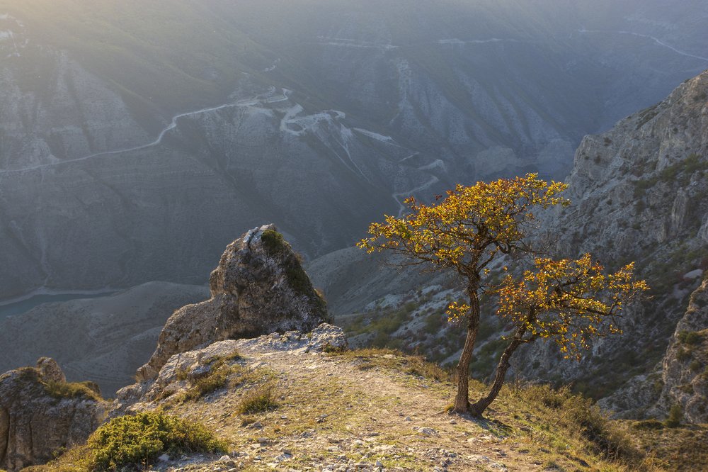 Photograph by Дмитрий Новоселов