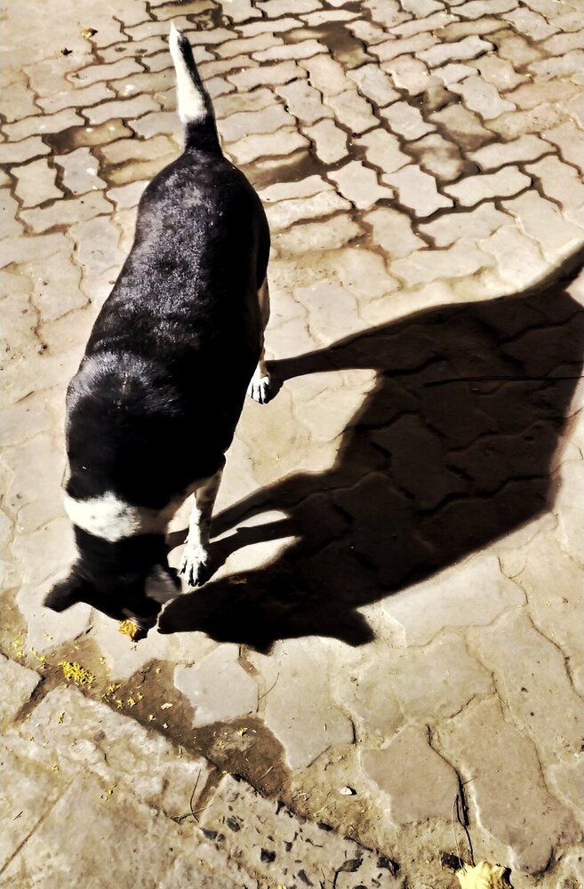 Photograph by DEBANJAN JANA