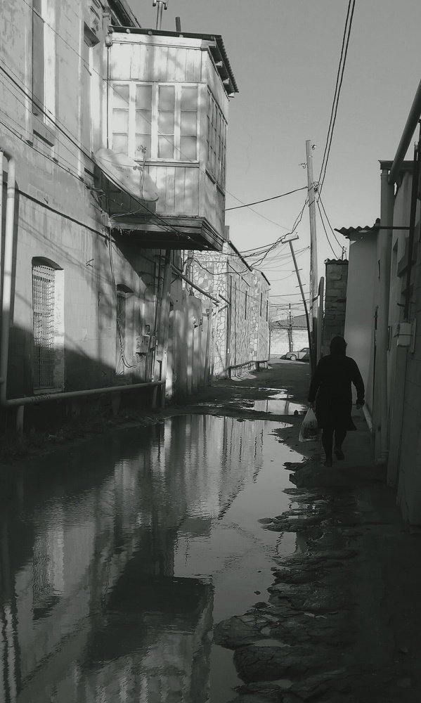 Фотография автора Vusale Zeynalova