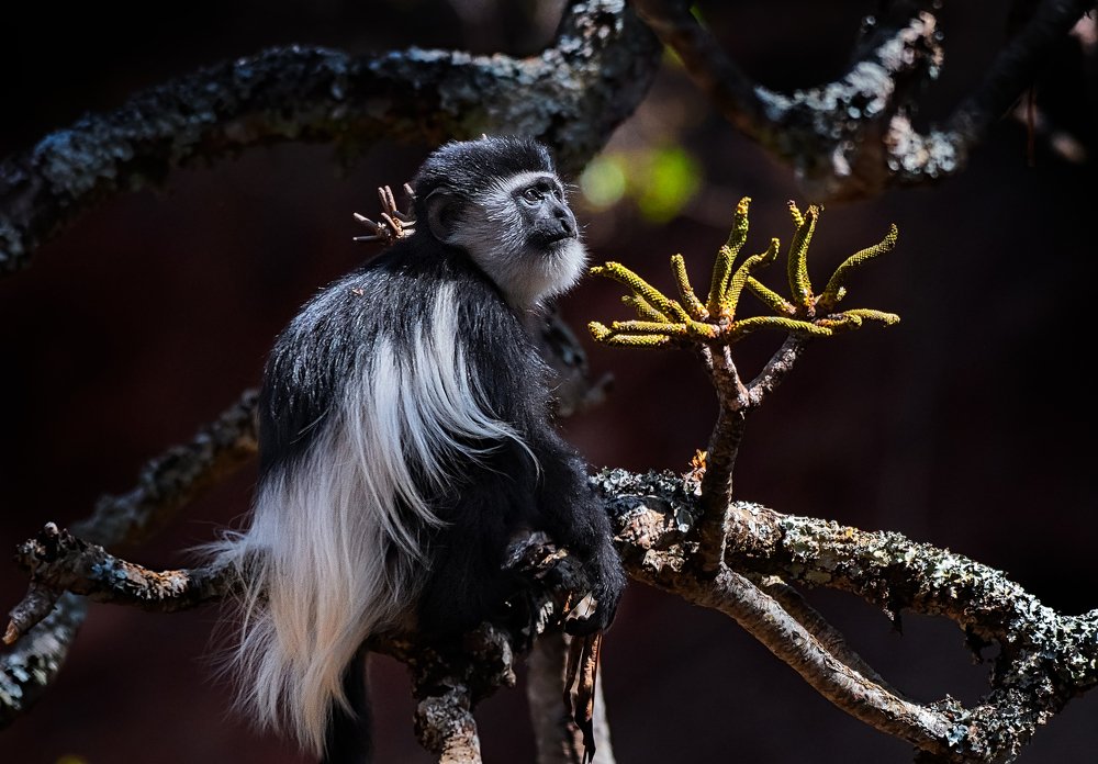 Photograph by Vishnu Gopal