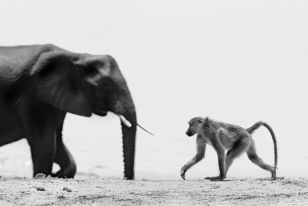 Фотография автора Vishnu Gopal