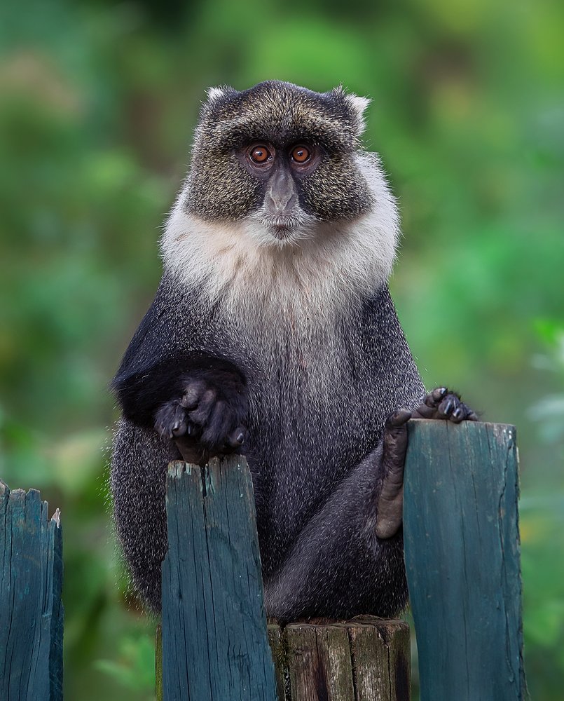 Photograph by Vishnu Gopal