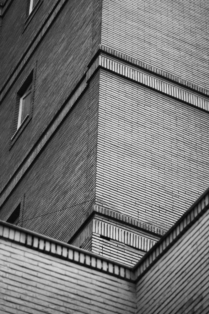 Photograph by zahra safari