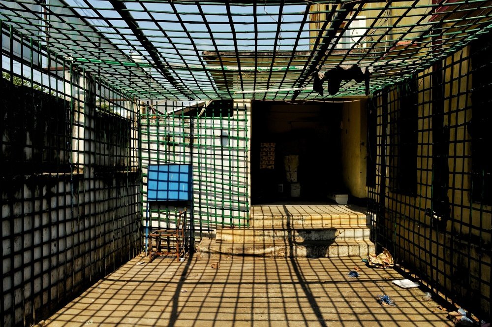 Photograph by Lovely Priya