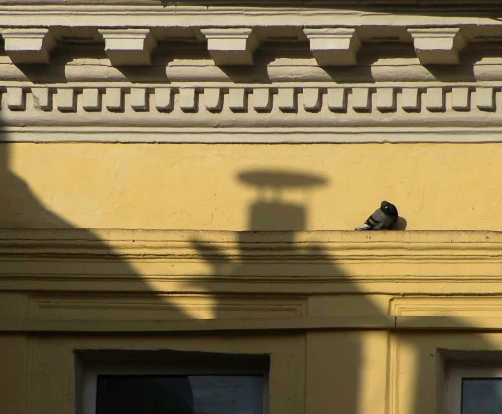 Тени  внутреннего дворика