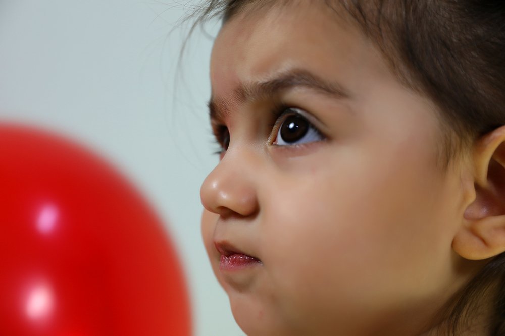 Photograph by Farinaz Bagherpour