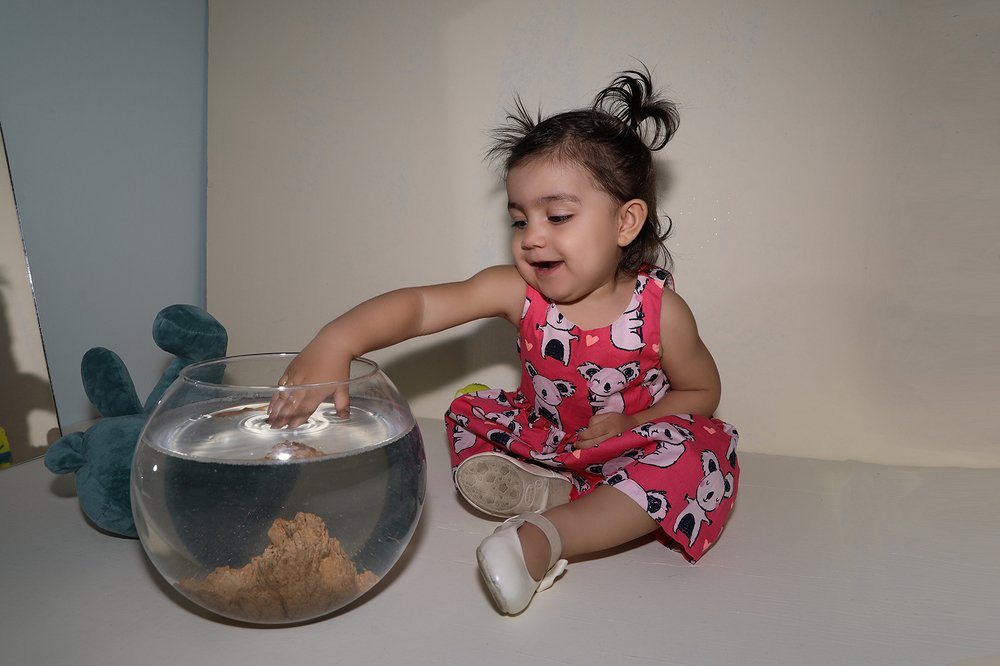 Photograph by Farinaz Bagherpour