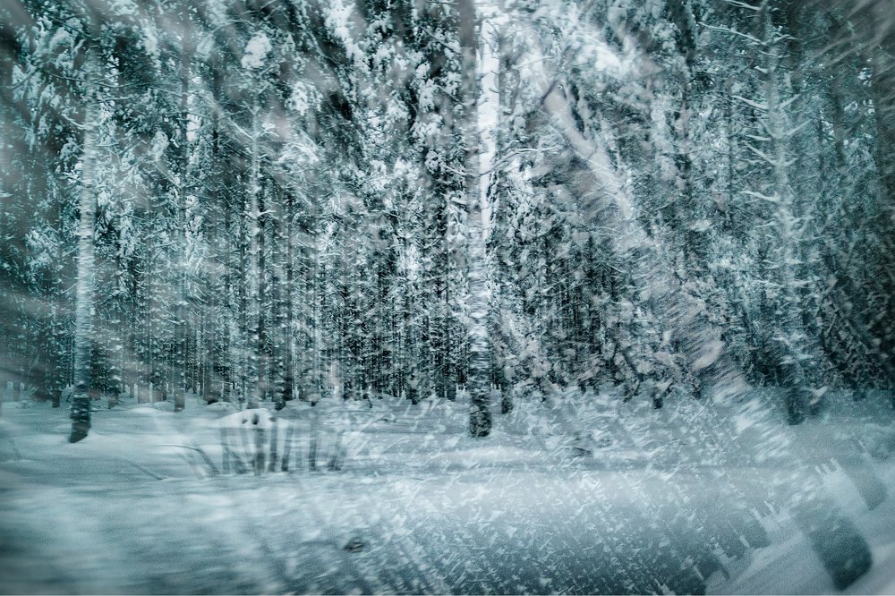 Photograph by Слава Ольшевская