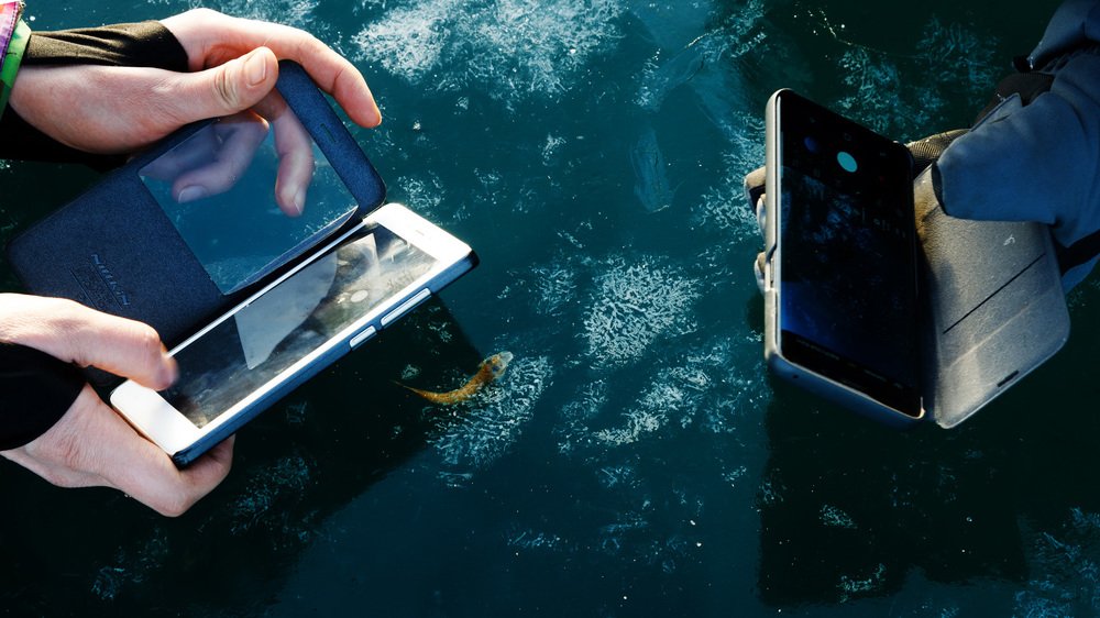 Фотография автора Сергей Низовцев