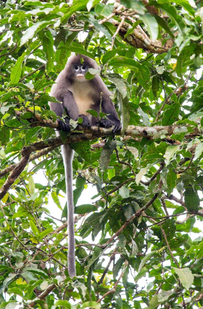 Photograph by A. M. Shafiqul Islam