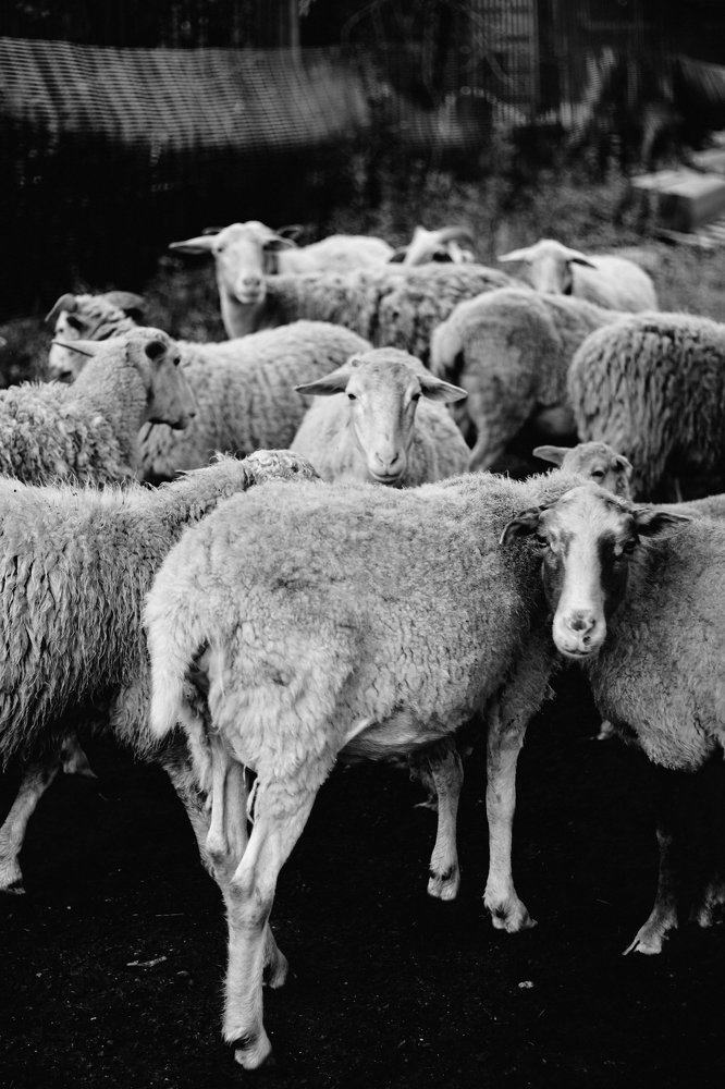 Photograph by Анна Михайлова