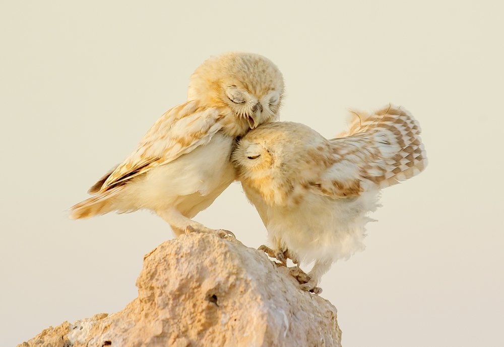 Photograph by Vishnu Gopal