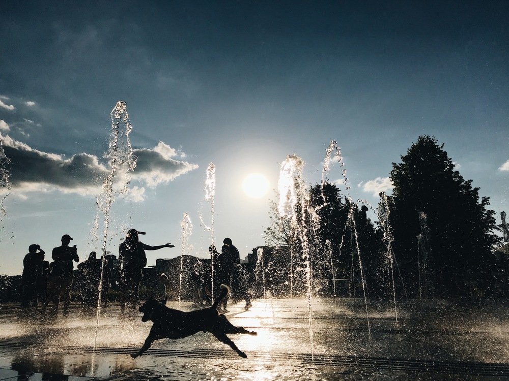 Photograph by Анна Михайлова